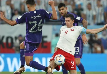 波兰世界杯阵容2022