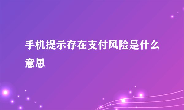 手机提示存在支付风险是什么意思