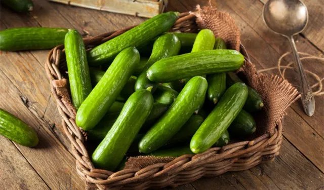 啪啪72式，哪种最容易让丁丁断掉？