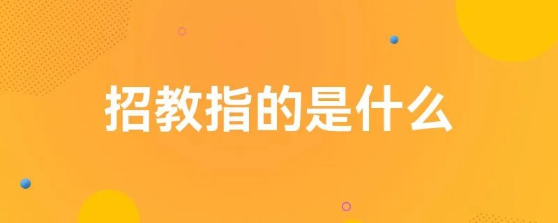 招教指的是什么