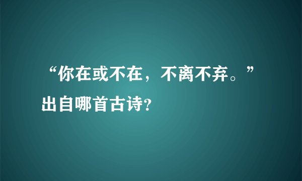 “你在或不在，不离不弃。”出自哪首古诗？