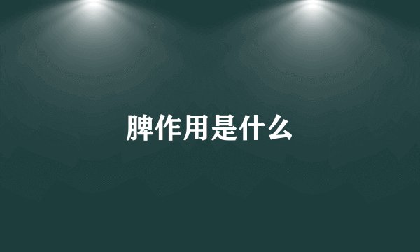 脾作用是什么