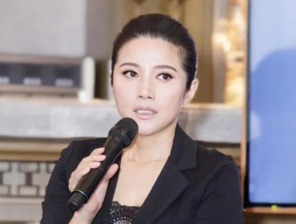 颜丙燕演过的所有电视剧