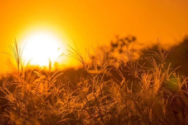 2020年立秋图片大全 立秋节气的图片景色大图2020