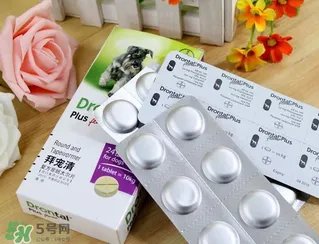 拜宠清要怎么喂?拜宠清驱虫药说明书