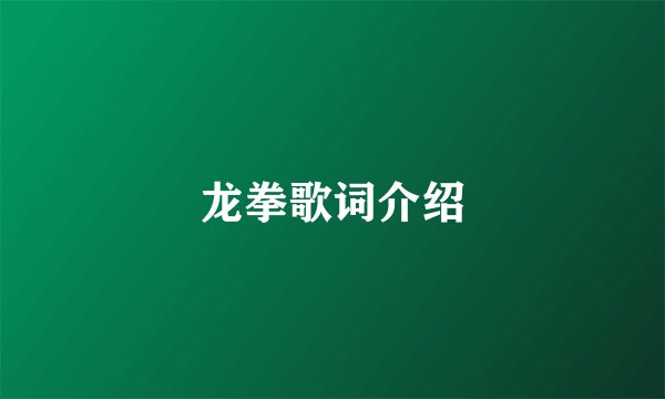 龙拳歌词介绍