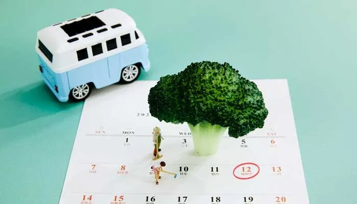 国历是什么 国历是啥意思