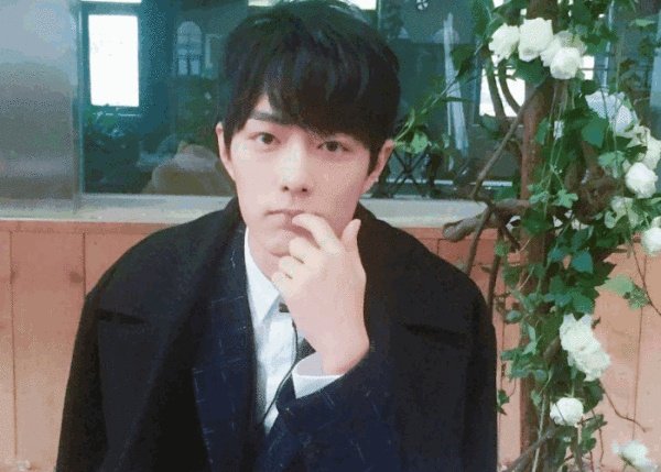 肖战怎么突然火起来了,又是怎么突然被全网粉丝心疼了的?