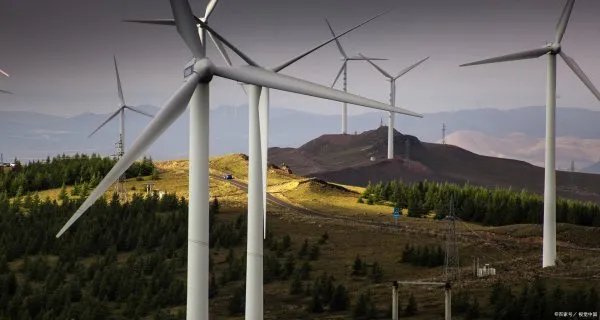 社保卡查询个人账户查询官网