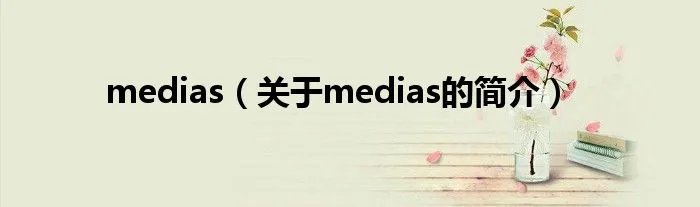 medias（关于medias的简介）