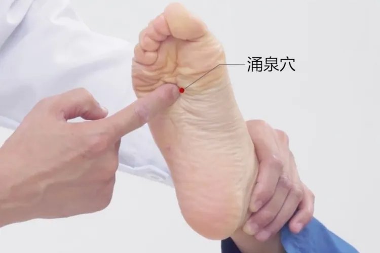 三伏贴最佳穴位图