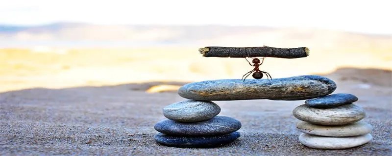 蚂蚁搬家要下雨  蚂蚁搬家要下雨是因为什么