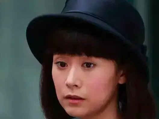 评分9.0以上的谍战剧