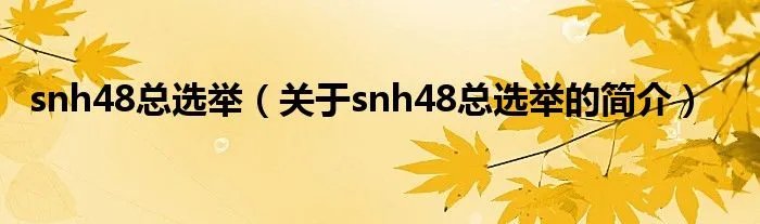 snh48总选举（关于snh48总选举的简介）