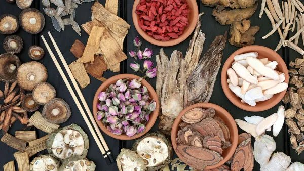 钻地风中药别名