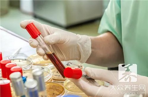 b型血的性格特点