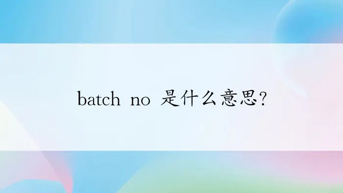 batch no 是什么意思?