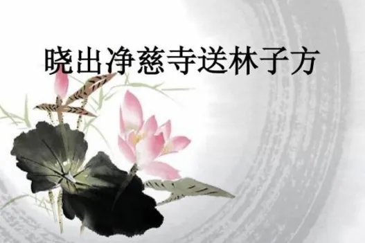 接天莲叶无穷碧下一句诗是什么？