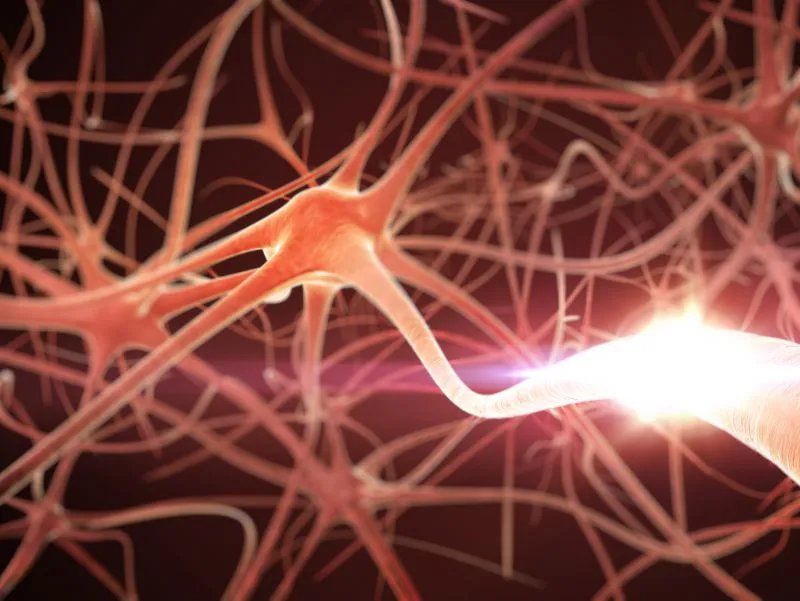 背神经阻断术的作用是什么