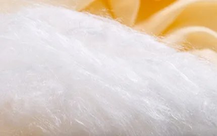 【蚕茧颜色】蚕茧为什么有不同的颜色 蚕茧颜色由谁定