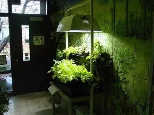 20款入户花园装修效果图,推门即见的风景