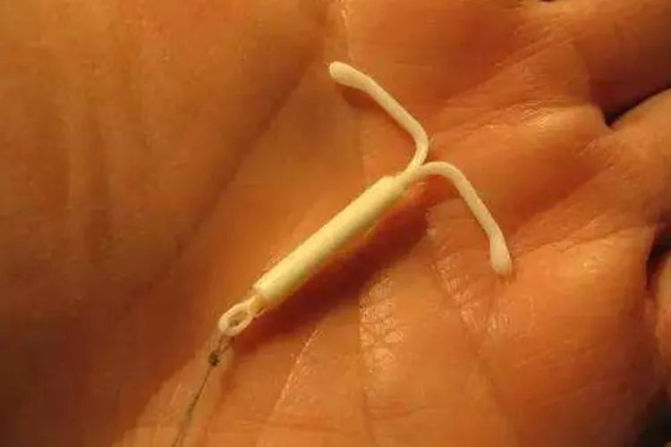 曼月环的图片大全