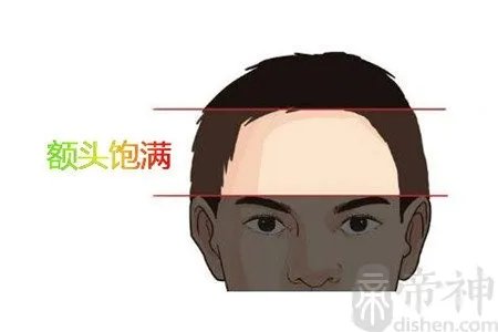 椭圆形脸人的命运与性格如何