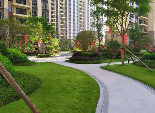 小区绿化标准包括哪些