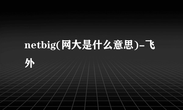 netbig(网大是什么意思)-飞外