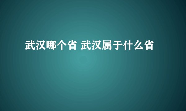武汉哪个省 武汉属于什么省
