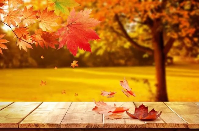 2020年立秋图片大全 立秋节气的图片景色大图2020