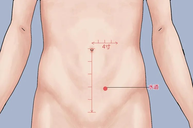 阴陵泉准确位置图和作用功效