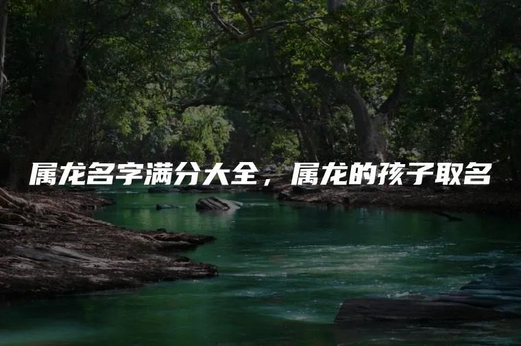 属龙名字满分大全,属龙的孩子取名