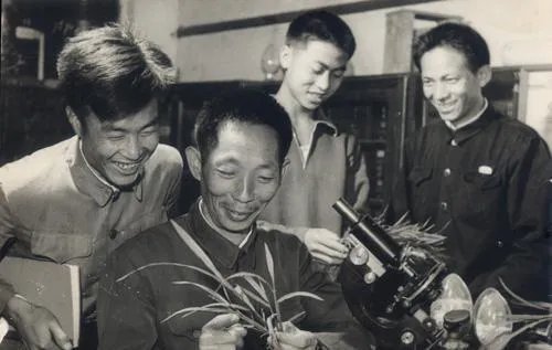 为什么袁隆平院士的儿子都如此优秀?