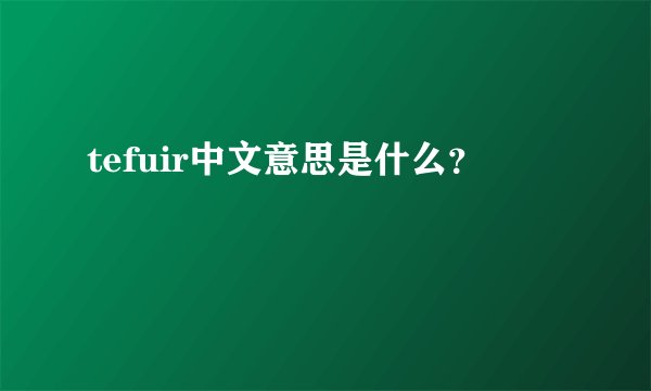 tefuir中文意思是什么?
