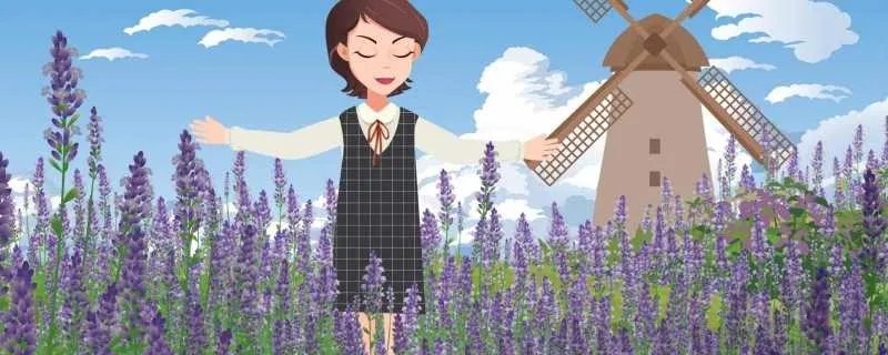 普罗旺斯是哪个国家的 普罗旺斯在哪里