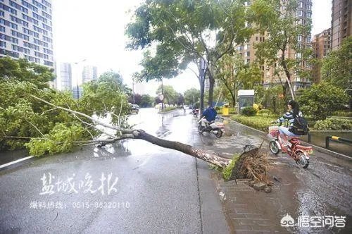 盐城历史台风纪录