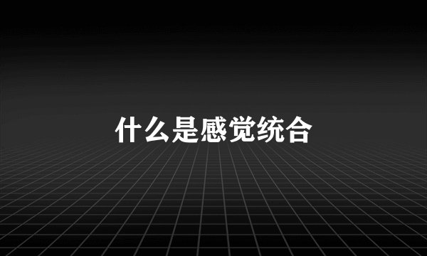 什么是感觉统合