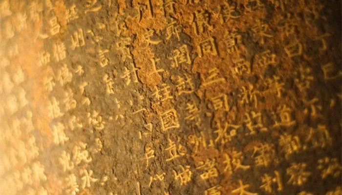甲骨文是写在什么上面的