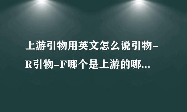 上游引物用英文怎么说引物-R引物-F哪个是上游的哪个是下游的啊?