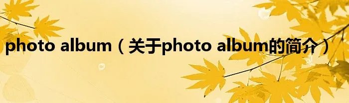 photo album（关于photo album的简介）