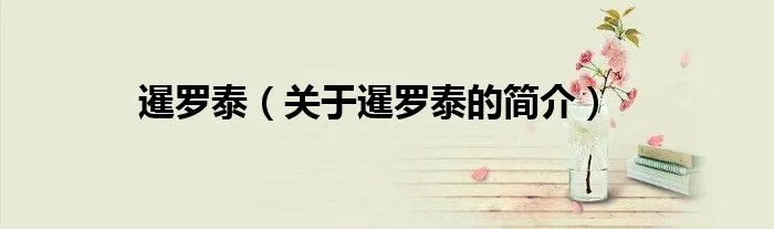 暹罗泰（关于暹罗泰的简介）