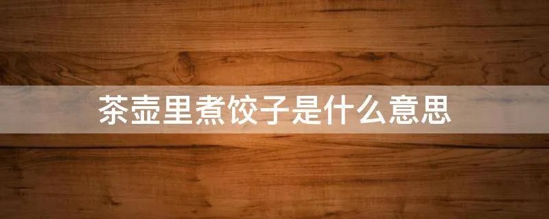 茶壶里煮饺子是什么意思