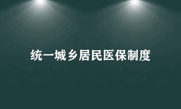 统一城乡居民医保制度