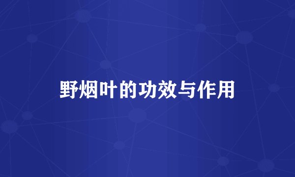 野烟叶的功效与作用