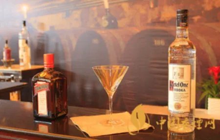 伏特加价格一般多少钱 伏特加酒的价格及图片