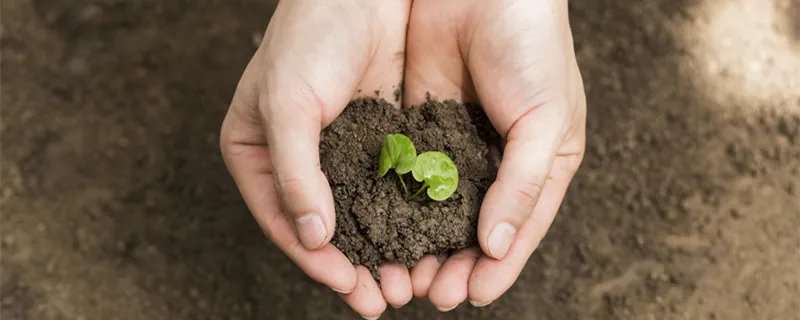 土地是可再生资源吗 土地是再生资源还是不可再生资源