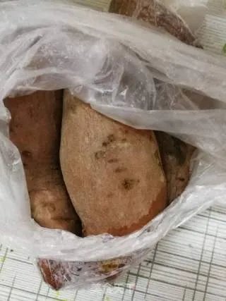 玉环特产：山粉圆