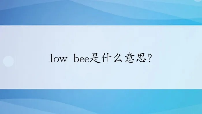 low bee是什么意思？