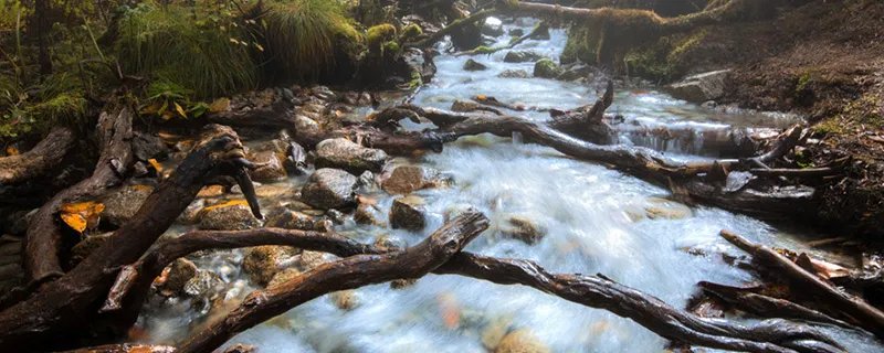 海螺沟门票是多少 海螺沟门票多少钱